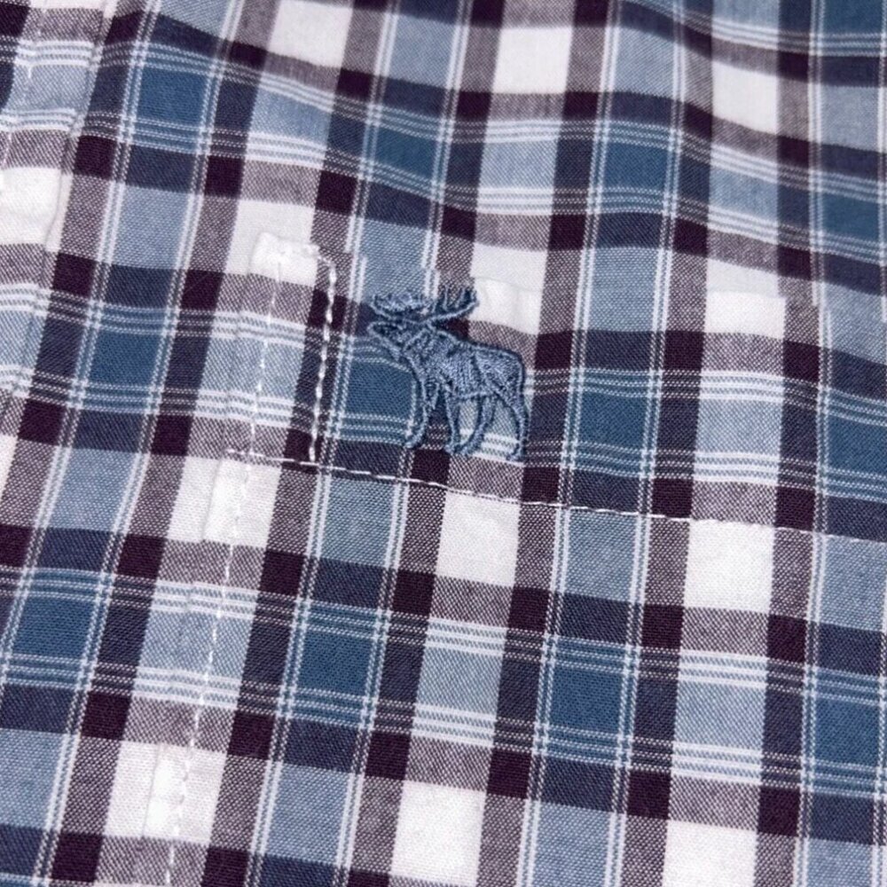 Abercrombie & Fitch Shirt Mens M Blue Striped Check Long Sleeve Button Down LOGO - Picture 2 of 4